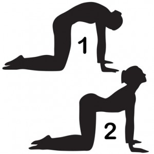 Yoga Poses-Vedicgrace.in